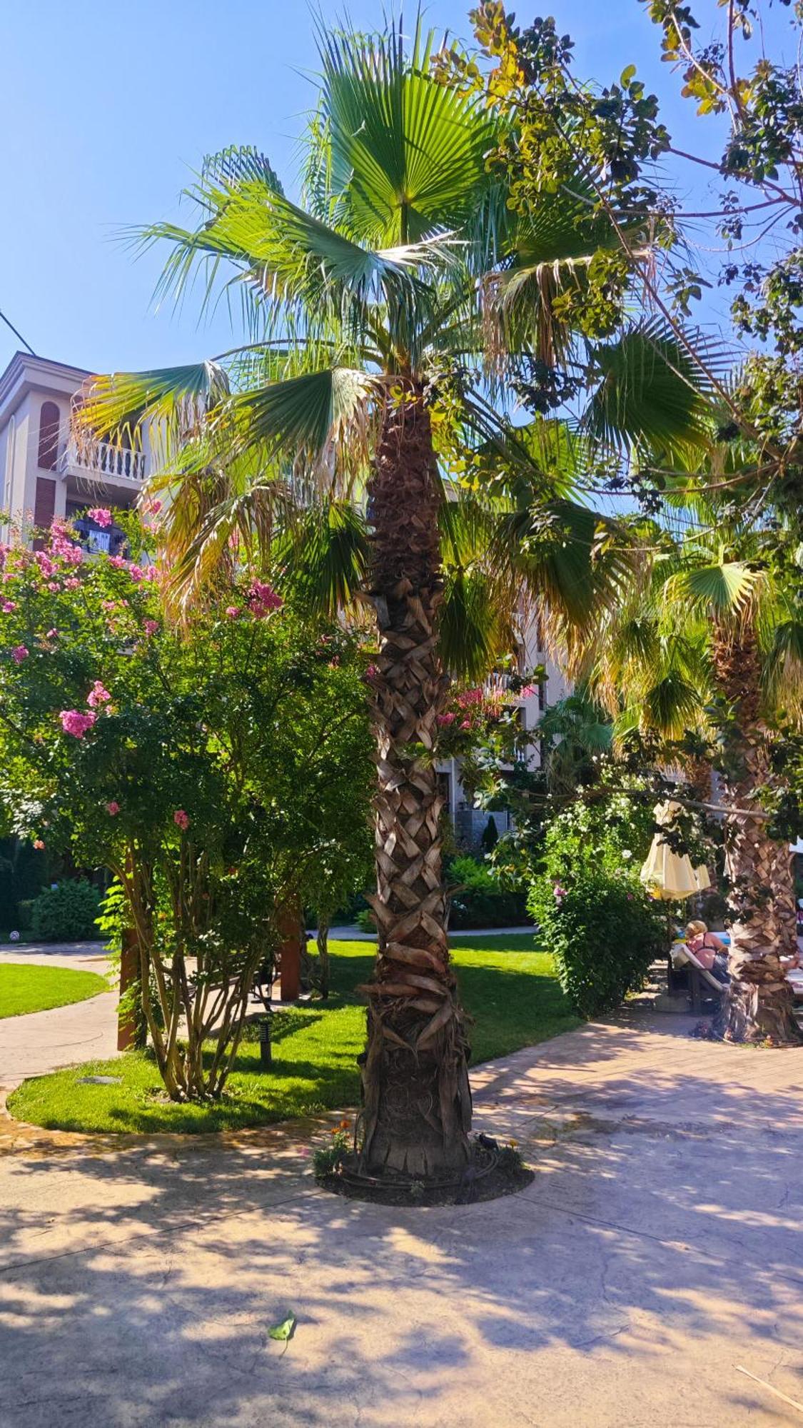 Attractive Family Apartment In Sunny Beach Cascadas Family Resort Kültér fotó